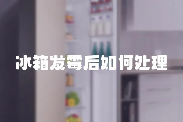 冰箱發霉后如何處理