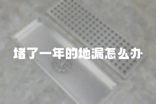 堵了一年的地漏怎么辦