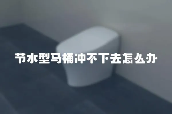 節(jié)水型馬桶沖不下去怎么辦