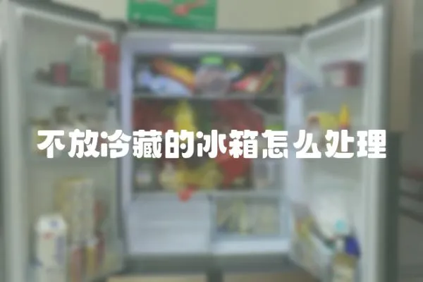 不放冷藏的冰箱怎么處理