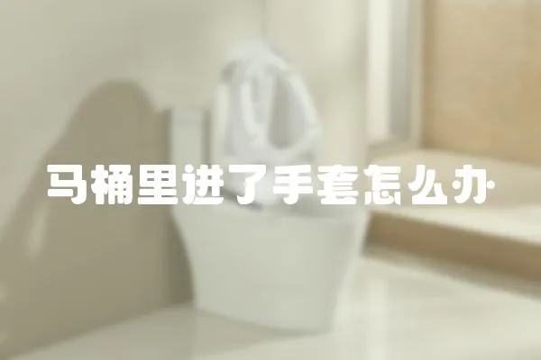 馬桶里進了手套怎么辦