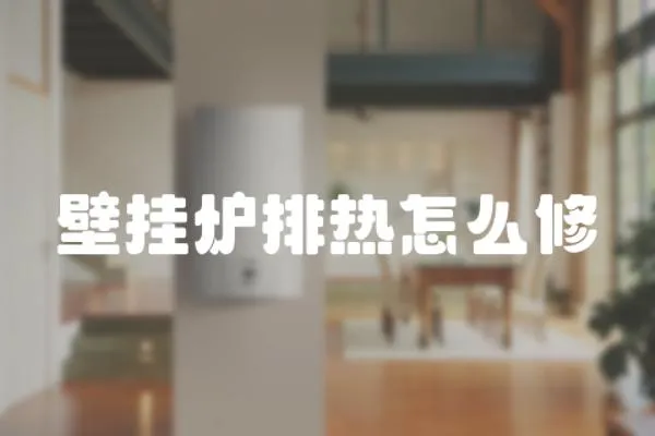 壁掛爐排熱怎么修