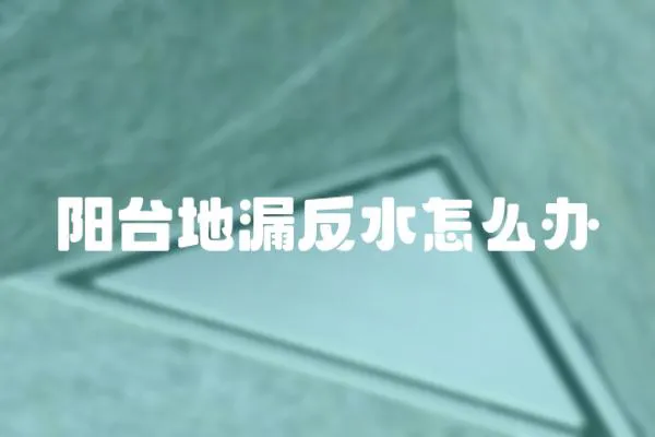 陽臺地漏反水怎么辦