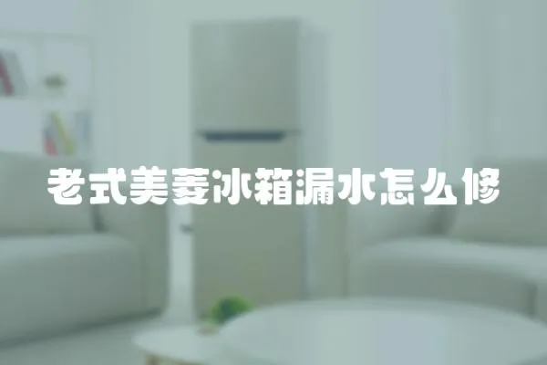 老式美菱冰箱漏水怎么修