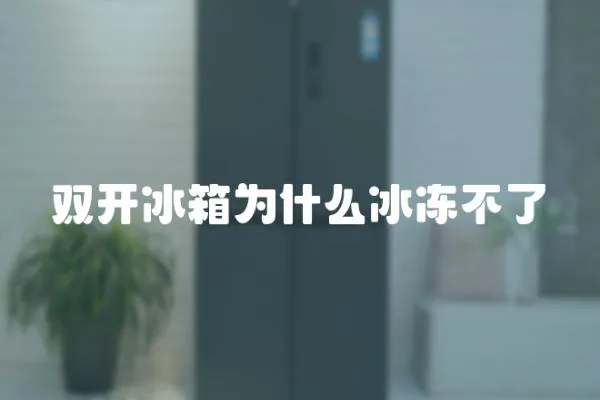 雙開冰箱為什么冰凍不了
