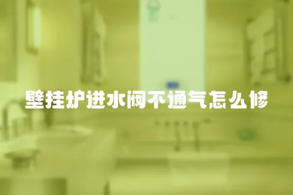 壁掛爐進水閥不通氣怎么修