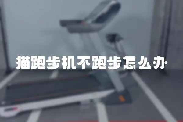 貓跑步機不跑步怎么辦