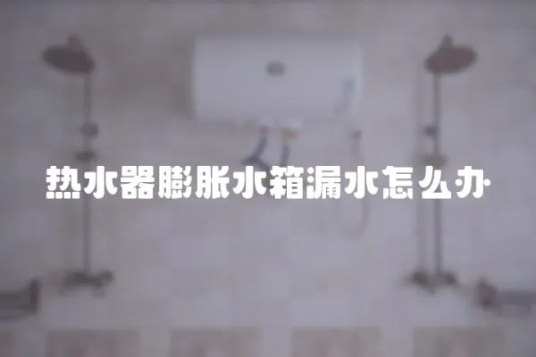 熱水器膨脹水箱漏水怎么辦