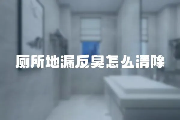廁所地漏反臭怎么清除