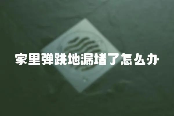 家里彈跳地漏堵了怎么辦