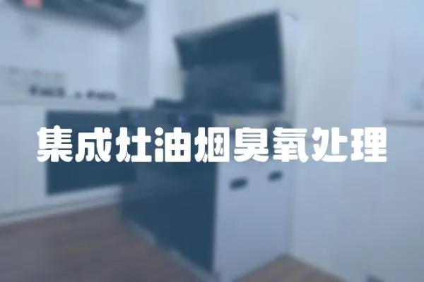 集成灶油煙臭氧處理