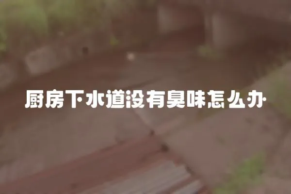 廚房下水道沒有臭味怎么辦