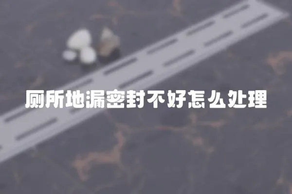廁所地漏密封不好怎么處理
