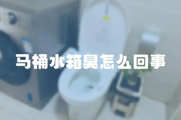馬桶水箱臭怎么回事
