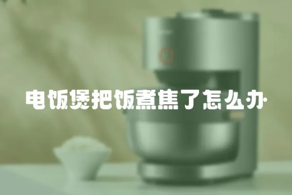 電飯煲把飯煮焦了怎么辦