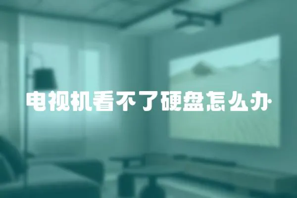 電視機(jī)看不了硬盤(pán)怎么辦