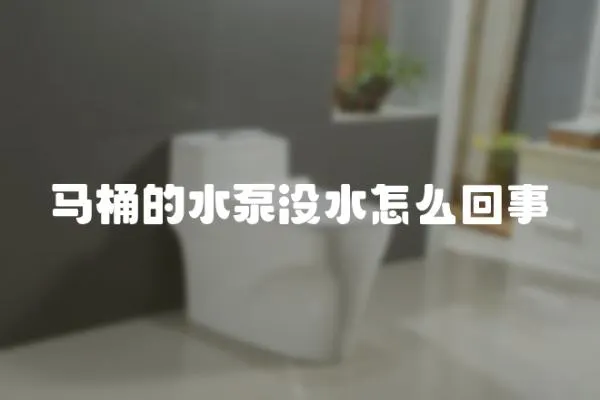 馬桶的水泵沒水怎么回事