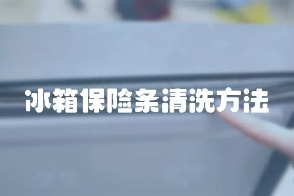 冰箱保險條清洗方法