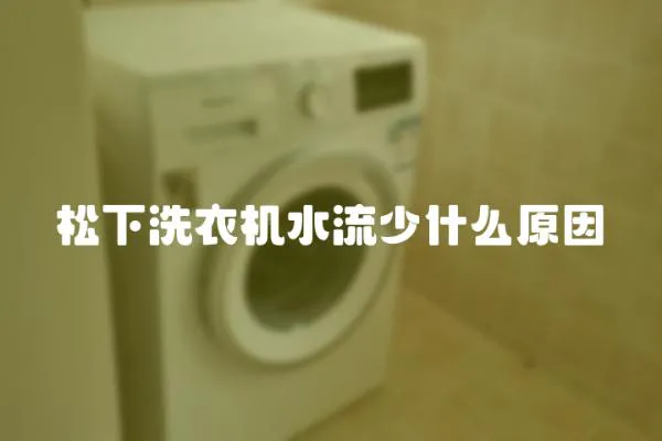 松下洗衣機水流少什么原因