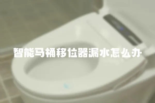 智能馬桶移位器漏水怎么辦
