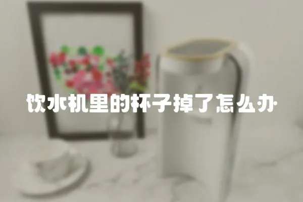 飲水機(jī)里的杯子掉了怎么辦