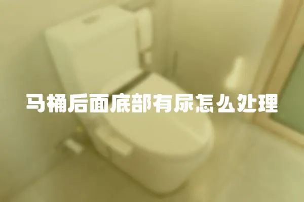 馬桶后面底部有尿怎么處理