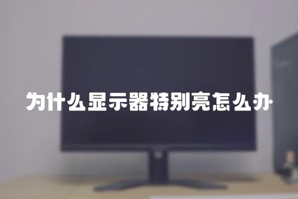 為什么顯示器特別亮怎么辦