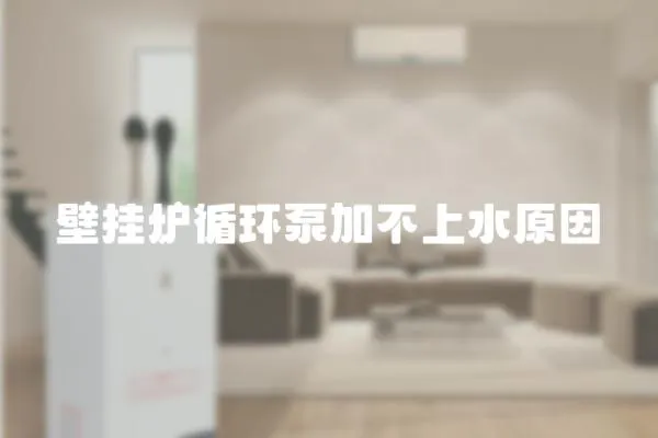 壁掛爐循環泵加不上水原因