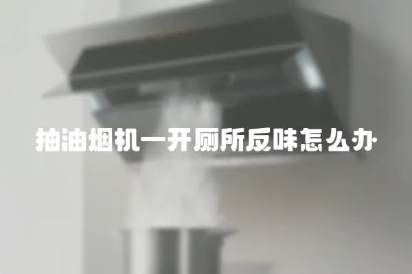抽油煙機一開廁所反味怎么辦