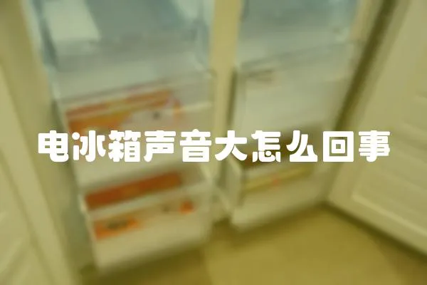 電冰箱聲音大怎么回事