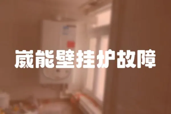崴能壁掛爐故障