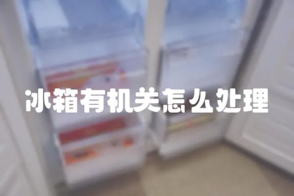 冰箱有機關怎么處理