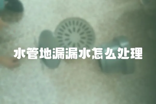水管地漏漏水怎么處理