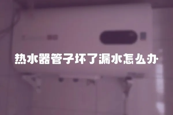 熱水器管子壞了漏水怎么辦