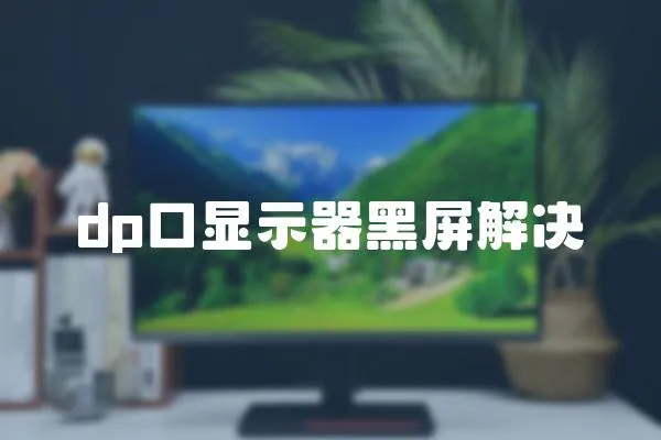 dp口顯示器黑屏解決
