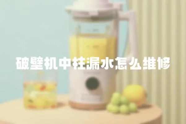 破壁機中柱漏水怎么維修