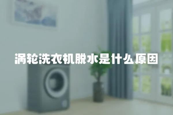 渦輪洗衣機脫水是什么原因