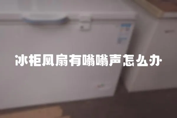 冰柜風扇有嗡嗡聲怎么辦