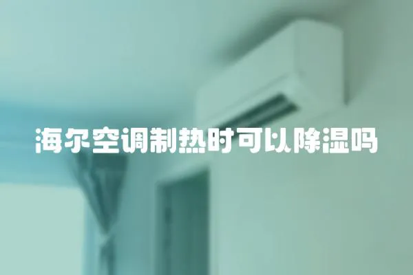 海爾空調制熱時可以除濕嗎