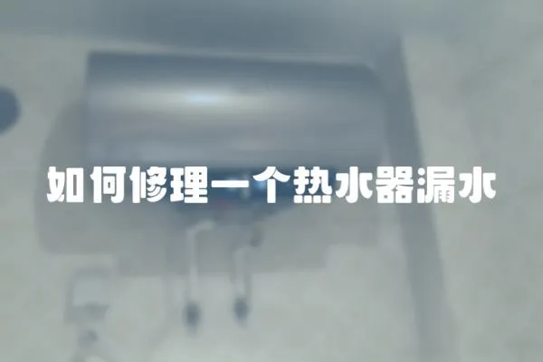 如何修理一個熱水器漏水