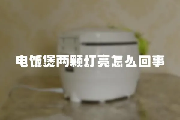 電飯煲兩顆燈亮怎么回事