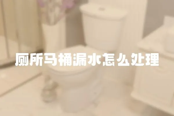 厕所马桶漏水怎么处理