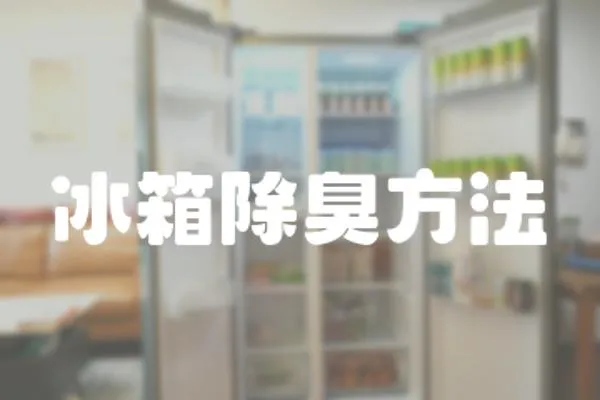 冰箱除臭方法