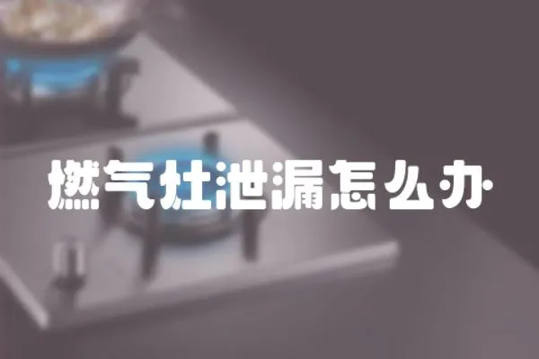 燃?xì)庠钚孤┰趺崔k