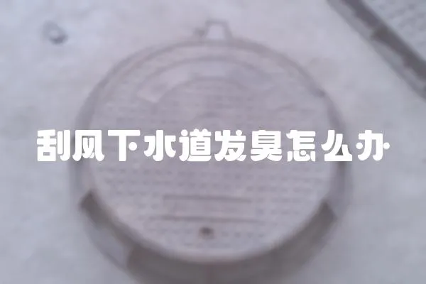 刮風(fēng)下水道發(fā)臭怎么辦