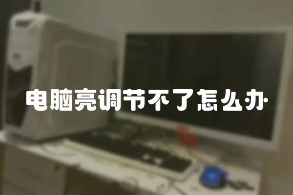 電腦亮調(diào)節(jié)不了怎么辦