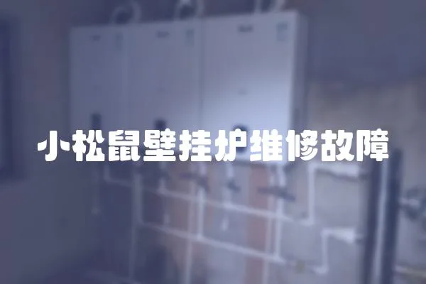 小松鼠壁掛爐維修故障