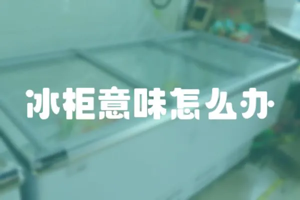 冰柜意味怎么辦