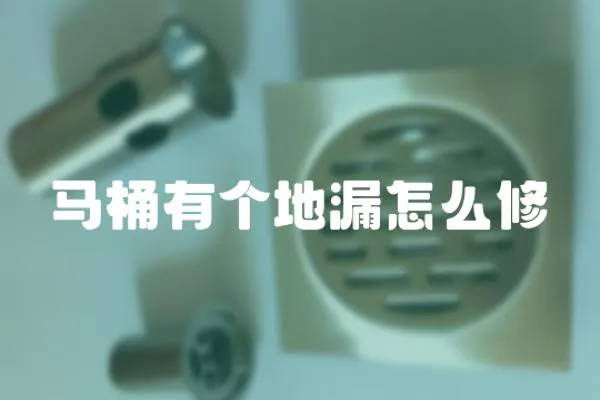 馬桶有個地漏怎么修