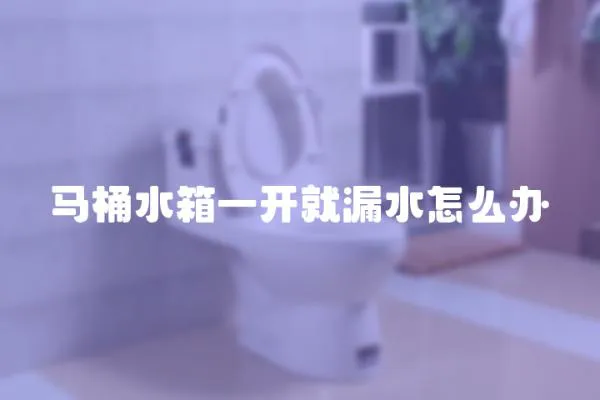 馬桶水箱一開就漏水怎么辦